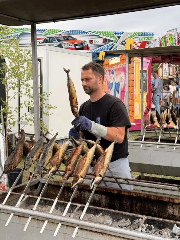Mann in Arbeitshandschuhen nimmt einen fertigen Steckerlfisch vom Grill